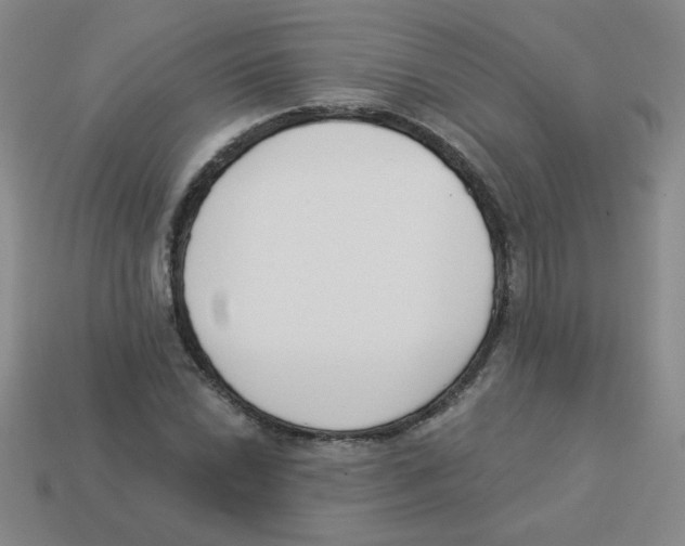 X0000113361022200910131256