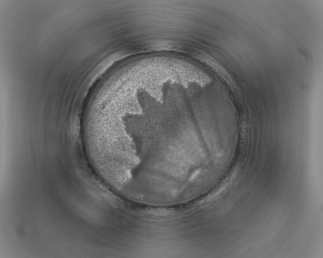 X0000113361023200910131256