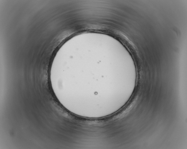 X0000113361025200910131256