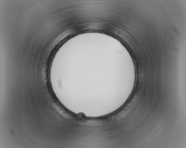 X0000113361026200910131256