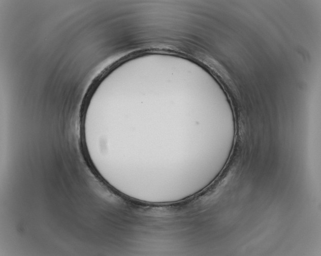 X0000113361028200910131256