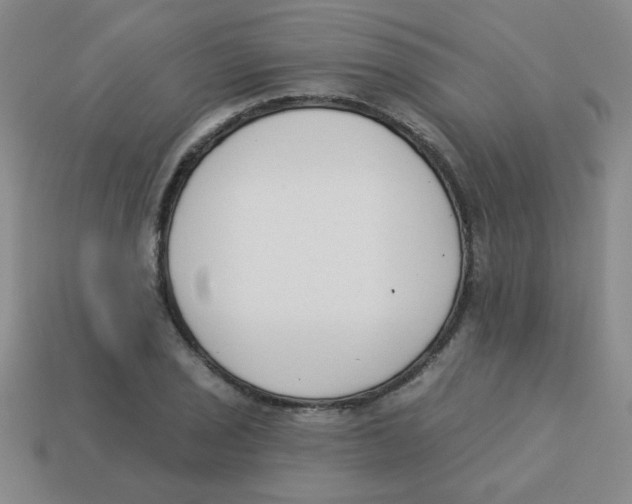 X0000113361029200910131256