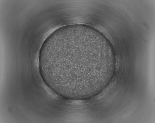 X0000113361031200910131256