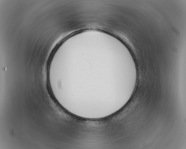 X0000113361032200910131256