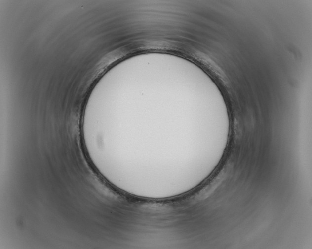 X0000113361033200910131256