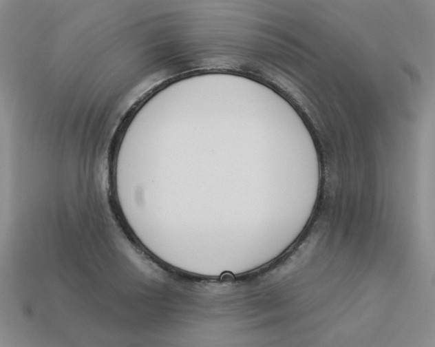 X0000113361034200910131256