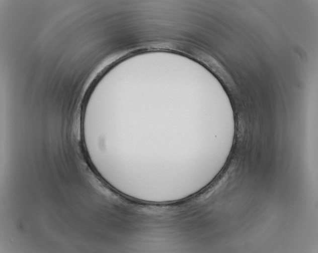 X0000113361036200910131256