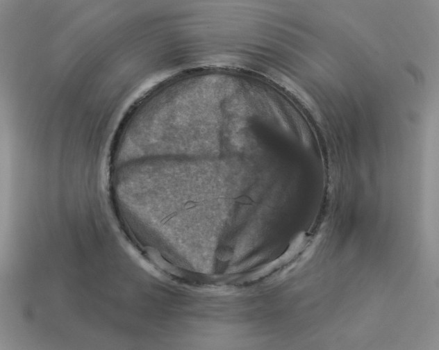 X0000113361037200910131256