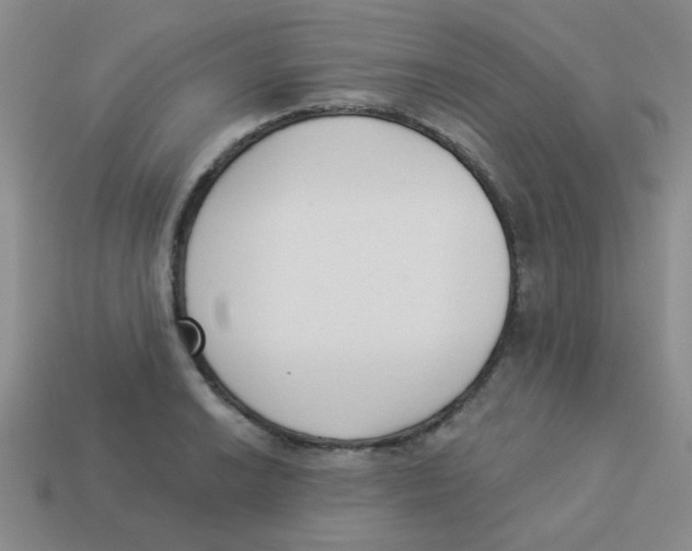 X0000113361038200910131256