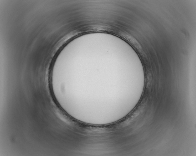 X0000113361039200910131256