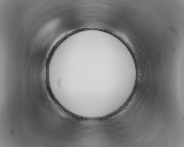 X0000113361040200910131256