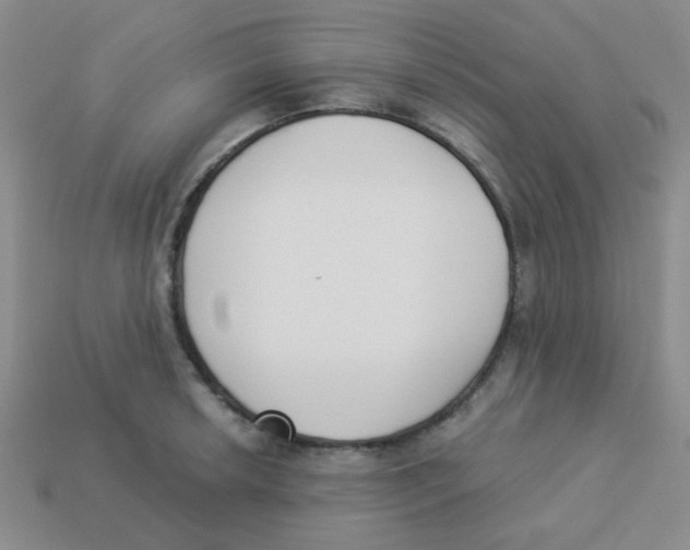 X0000113361042200910131256