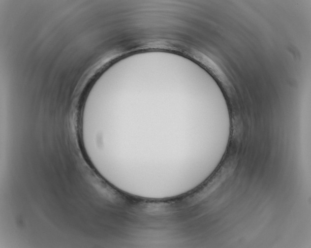 X0000113361043200910131256