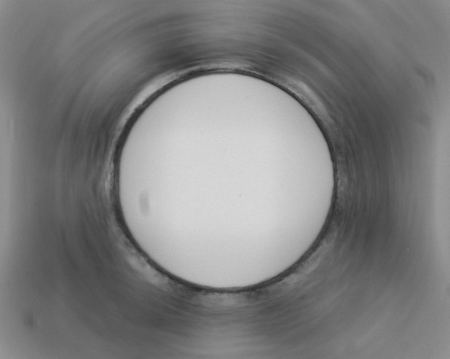 X0000113361044200910131256