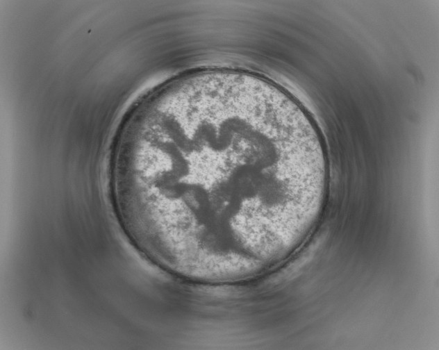 X0000113361045200910131256