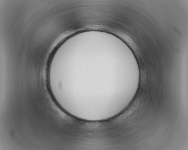 X0000113361046200910131256