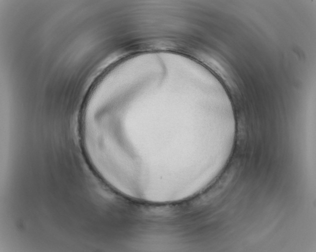 X0000113361047200910131256