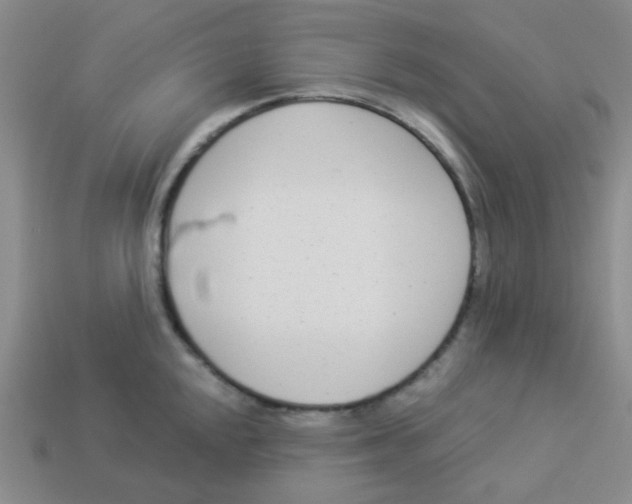 X0000113361048200910131256