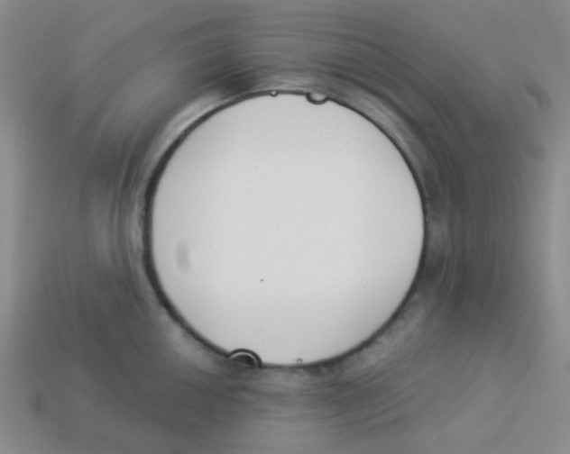 X0000113361050200910131256