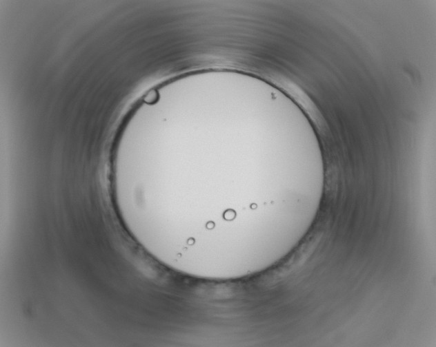 X0000113361051200910131256