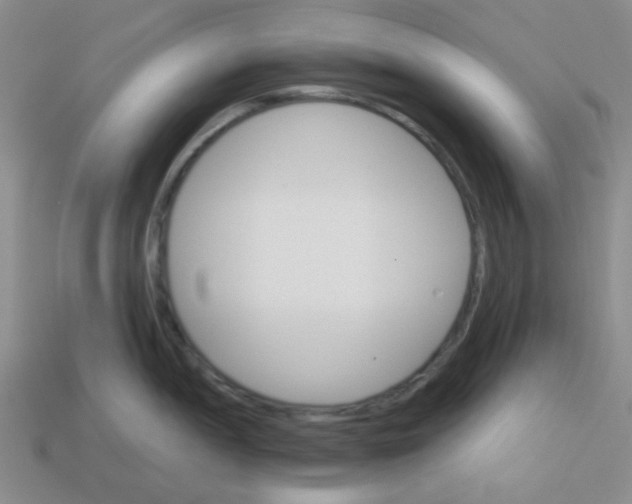 X0000113361052200910131256