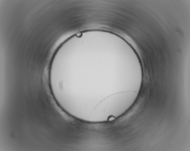 X0000113361053200910131256