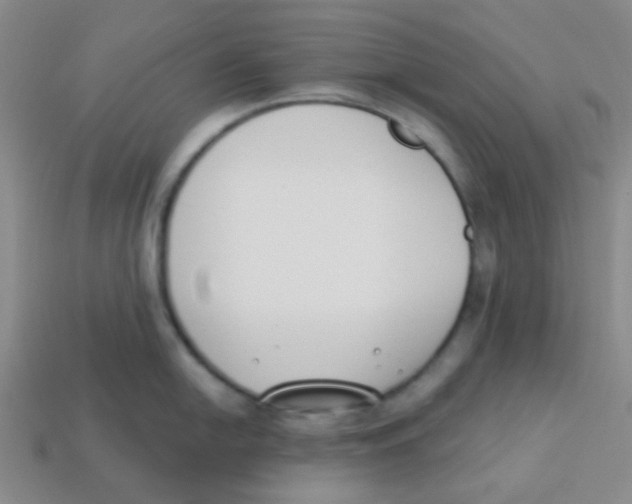 X0000113361054200910131256