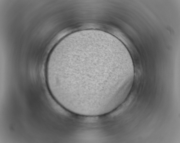 X0000113361055200910131256