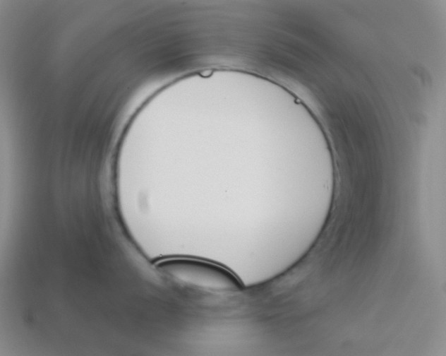 X0000113361056200910131256