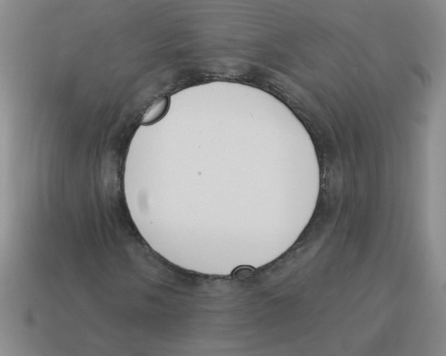 X0000113361058200910131256