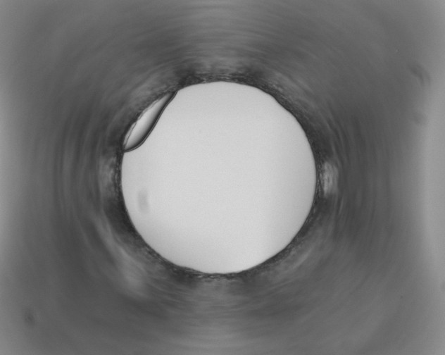 X0000113361059200910131256