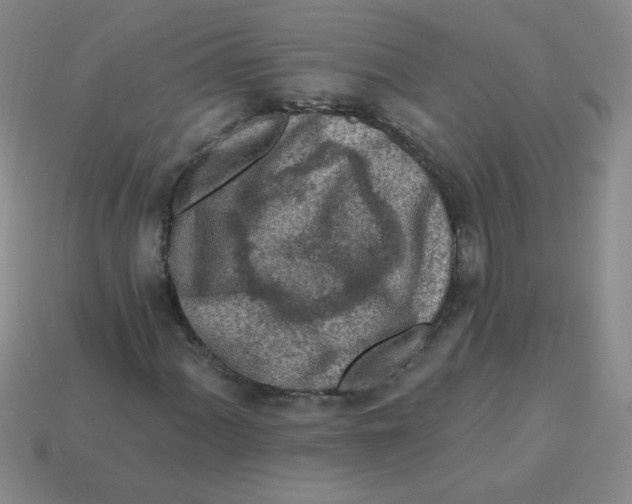 X0000113361060200910131256