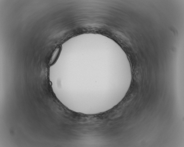 X0000113361061200910131256