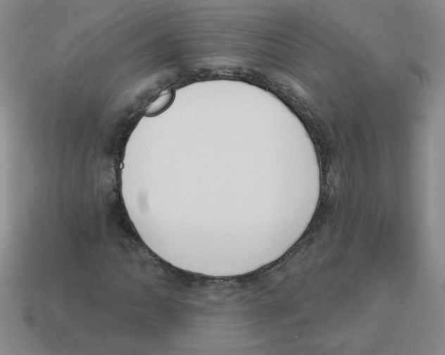 X0000113361062200910131255