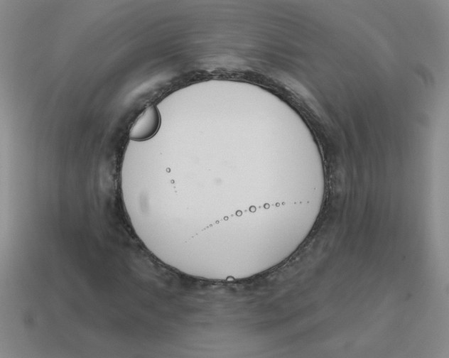 X0000113361063200910131255