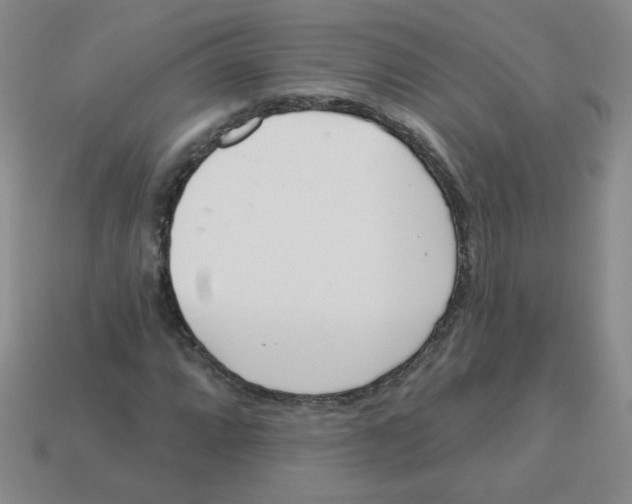 X0000113361064200910131255