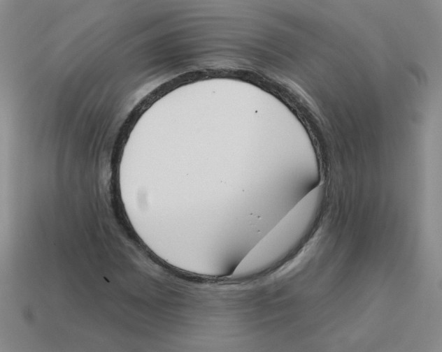 X0000113361065200910131255