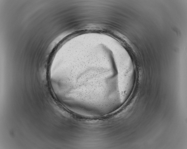 X0000113361066200910131255