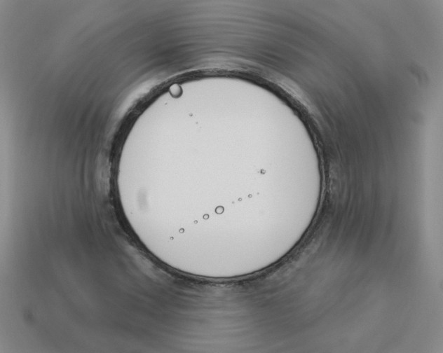 X0000113361067200910131255