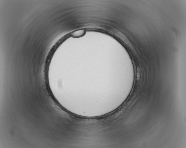 X0000113361068200910131255