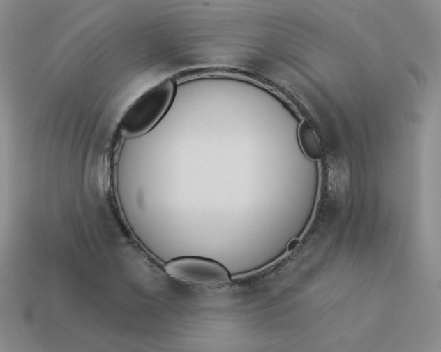 X0000113361069200910131255