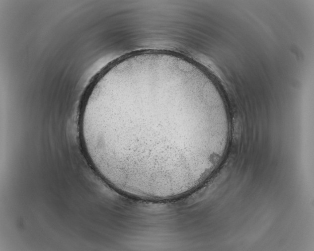 X0000113361071200910131255