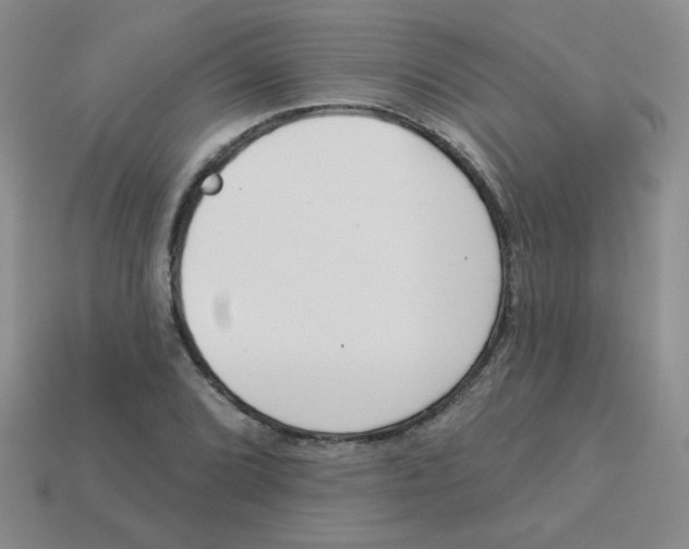 X0000113361072200910131255