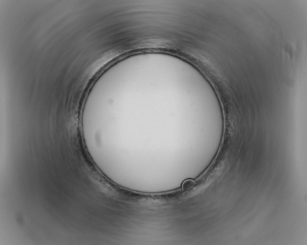 X0000113361073200910131255