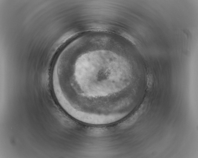 X0000113361074200910131255