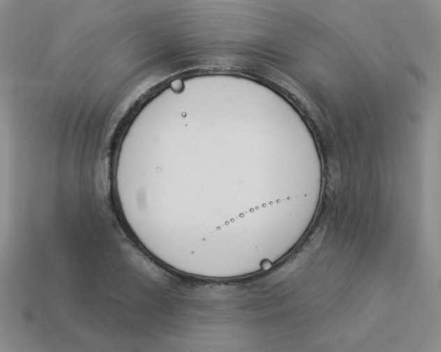 X0000113361075200910131255