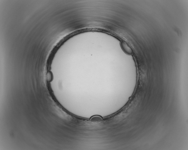 X0000113361076200910131255