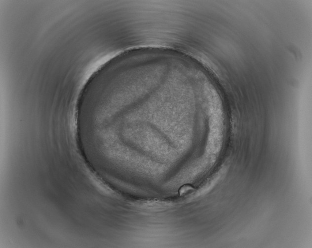 X0000113361077200910131255