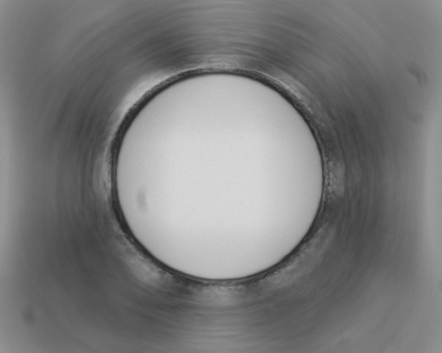 X0000113361078200910131255