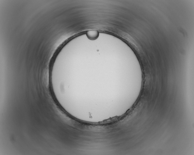 X0000113361079200910131255